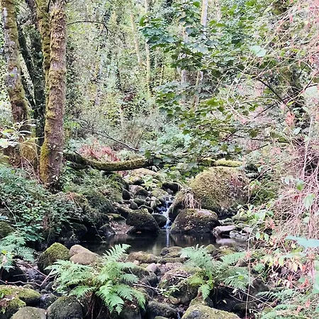 Chulavista House By Kev